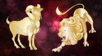 Zodiac Love Compatibility