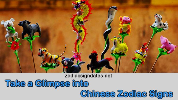 Take a Glimpse into Chinese Zodiac Signs